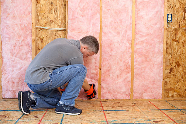 Best Cellulose Insulation  in Evendale, OH