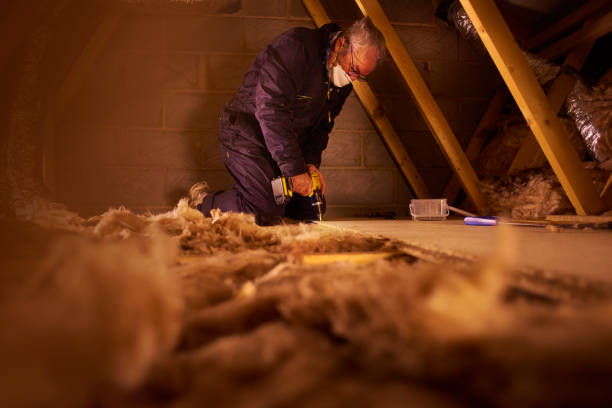 Best Home Insulation Services  in Evendale, OH